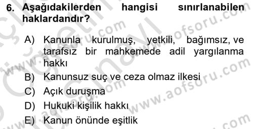 İnsan Hakları ve Kamu Özgürlükleri Dersi 2024 - 2025 Yılı Yaz Okulu Sınav Soruları 6. Soru
