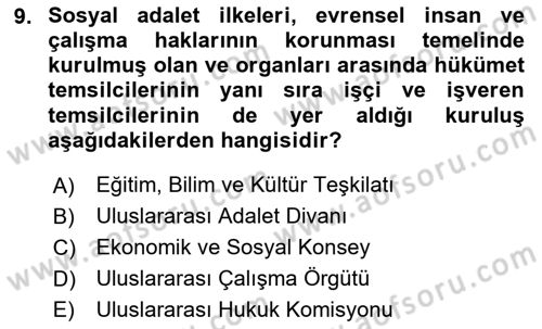 İnsan Hakları ve Kamu Özgürlükleri Dersi 2024 - 2025 Yılı Yaz Okulu Sınav Soruları 9. Soru