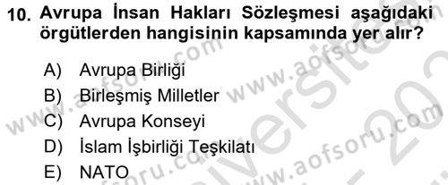 İnsan Hakları ve Kamu Özgürlükleri Dersi 2025 - 2026 Yılı (Vize) Ara Sınav Soruları 10. Soru