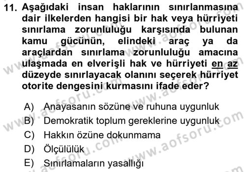 İnsan Hakları ve Kamu Özgürlükleri Dersi 2025 - 2026 Yılı (Vize) Ara Sınav Soruları 11. Soru