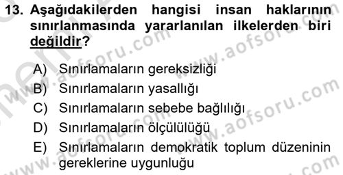 İnsan Hakları ve Kamu Özgürlükleri Dersi 2025 - 2026 Yılı (Vize) Ara Sınav Soruları 13. Soru