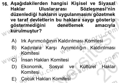 İnsan Hakları ve Kamu Özgürlükleri Dersi 2025 - 2026 Yılı (Vize) Ara Sınav Soruları 16. Soru