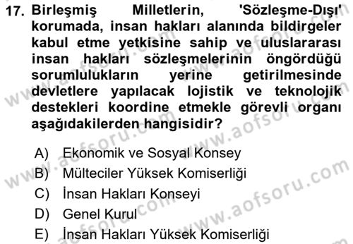 İnsan Hakları ve Kamu Özgürlükleri Dersi 2025 - 2026 Yılı (Vize) Ara Sınav Soruları 17. Soru