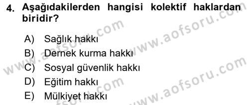 İnsan Hakları ve Kamu Özgürlükleri Dersi 2025 - 2026 Yılı (Vize) Ara Sınavı 4. Soru