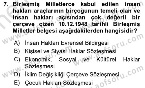 İnsan Hakları ve Kamu Özgürlükleri Dersi 2025 - 2026 Yılı (Vize) Ara Sınav Soruları 7. Soru