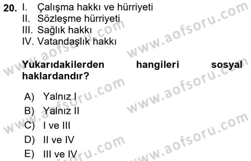 İnsan Hakları ve Kamu Özgürlükleri Dersi 2025 - 2026 Yılı (Final) Dönem Sonu Sınav Soruları 20. Soru