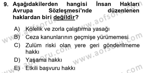 Temel İnsan Hakları Bilgisi 1 Dersi 2021 - 2022 Yılı (Vize) Ara Sınavı 9. Soru