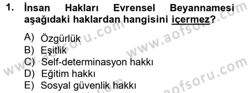 Temel İnsan Hakları Bilgisi 2 Dersi 2012 - 2013 Yılı (Vize) Ara Sınav Soruları 1. Soru