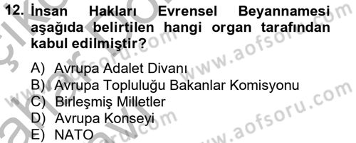 Temel İnsan Hakları Bilgisi 2 Dersi 2012 - 2013 Yılı (Vize) Ara Sınav Soruları 12. Soru