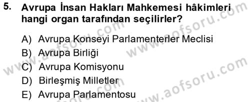 Temel İnsan Hakları Bilgisi 2 Dersi 2013 - 2014 Yılı (Final) Dönem Sonu Sınav Soruları 5. Soru