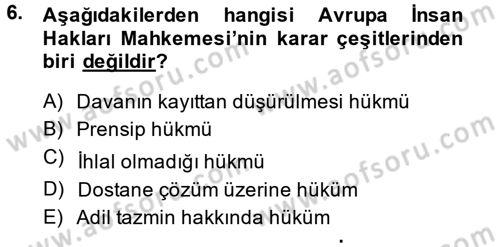 Temel İnsan Hakları Bilgisi 2 Dersi 2013 - 2014 Yılı (Final) Dönem Sonu Sınav Soruları 6. Soru
