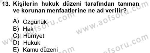 Temel İnsan Hakları Bilgisi 2 Dersi 2013 - 2014 Yılı Tek Ders Sınavı 13. Soru