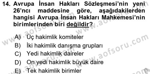 Temel İnsan Hakları Bilgisi 2 Dersi 2016 - 2017 Yılı (Vize) Ara Sınav Soruları 14. Soru