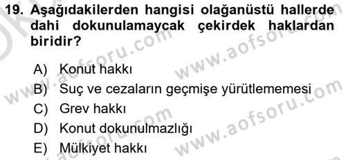 Anayasa Hukukuna Giriş Dersi 2022 - 2023 Yılı Yaz Okulu Sınavı 19. Soru