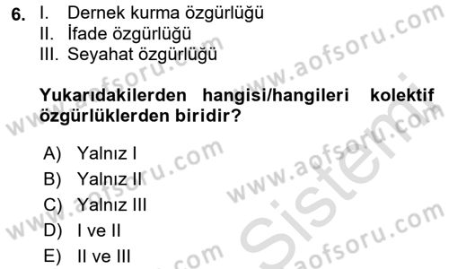 Anayasa Hukukuna Giriş Dersi 2022 - 2023 Yılı Yaz Okulu Sınavı 6. Soru