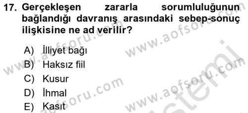 Temel İdare Hukuku Dersi 2022 - 2023 Yılı Yaz Okulu Sınav Soruları 17. Soru