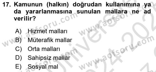 Temel İdare Hukuku Dersi 2024 - 2025 Yılı Yaz Okulu Sınav Soruları 17. Soru