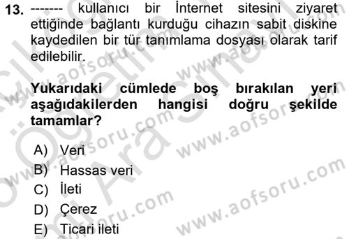 Bilişim Hukuku Dersi 2024 - 2025 Yılı (Vize) Ara Sınav Soruları 13. Soru
