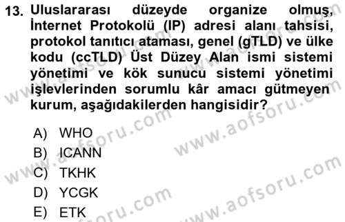Bilişim Hukuku Dersi 2024 - 2025 Yılı Yaz Okulu Sınav Soruları 13. Soru