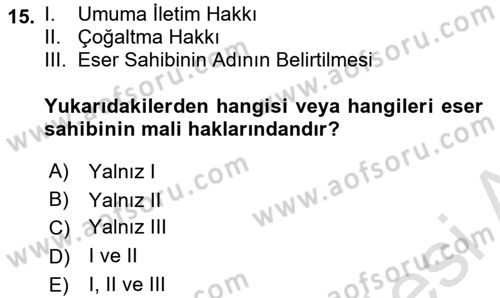 Bilişim Hukuku Dersi 2024 - 2025 Yılı Yaz Okulu Sınav Soruları 15. Soru