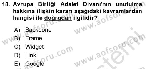 Bilişim Hukuku Dersi 2025 - 2026 Yılı (Final) Dönem Sonu Sınav Soruları 18. Soru