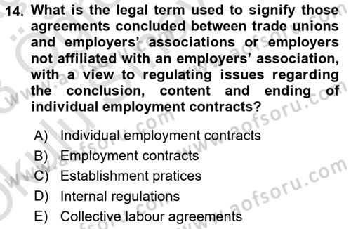 Business Law Dersi 2022 - 2023 Yılı Yaz Okulu Sınav Soruları 14. Soru