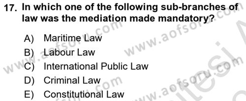 Business Law Dersi 2022 - 2023 Yılı Yaz Okulu Sınav Soruları 17. Soru