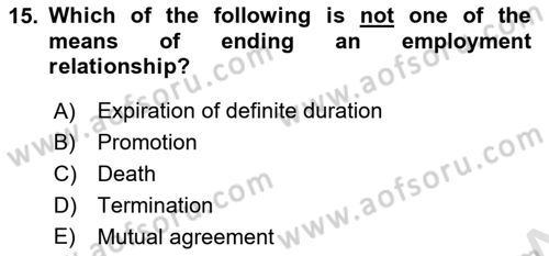 Business Law Dersi 2023 - 2024 Yılı Yaz Okulu Sınav Soruları 15. Soru