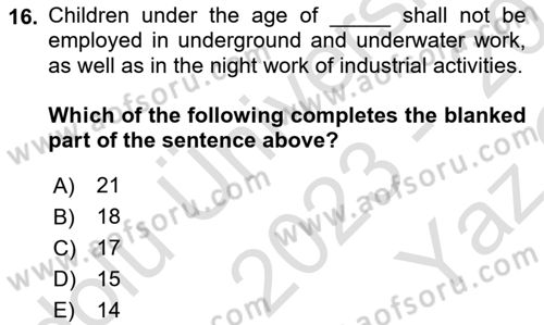 Business Law Dersi 2023 - 2024 Yılı Yaz Okulu Sınav Soruları 16. Soru