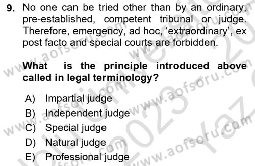 Business Law Dersi 2023 - 2024 Yılı Yaz Okulu Sınav Soruları 9. Soru