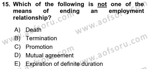 Business Law Dersi 2025 - 2026 Yılı (Final) Dönem Sonu Sınav Soruları 15. Soru