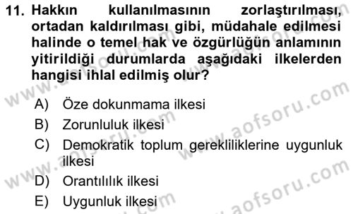 İnsan Hakları Hukukuna Giriş Dersi 2021 - 2022 Yılı (Vize) Ara Sınav Soruları 11. Soru