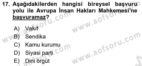 İnsan Hakları Hukukuna Giriş Dersi 2022 - 2023 Yılı Yaz Okulu Sınavı 17. Soru