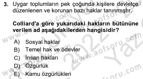 İnsan Hakları Hukukuna Giriş Dersi 2022 - 2023 Yılı Yaz Okulu Sınav Soruları 3. Soru
