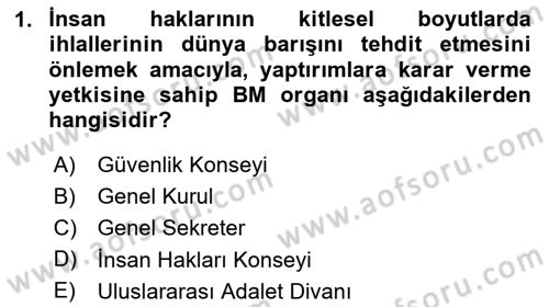 İnsan Hakları Hukukuna Giriş Dersi 2023 - 2024 Yılı (Vize) Ara Sınav Soruları 1. Soru
