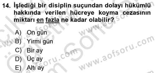 Temel İnfaz Hukuku Bilgisi Dersi 2021 - 2022 Yılı (Final) Dönem Sonu Sınav Soruları 14. Soru