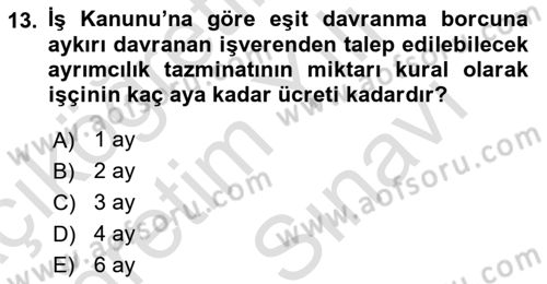 Temel İş Hukuku Dersi 2021 - 2022 Yılı (Vize) Ara Sınav Soruları 13. Soru