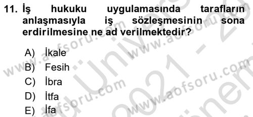 Temel İş Hukuku Dersi 2021 - 2022 Yılı (Final) Dönem Sonu Sınav Soruları 11. Soru