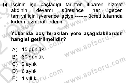 Temel İş Hukuku Dersi 2021 - 2022 Yılı (Final) Dönem Sonu Sınav Soruları 14. Soru