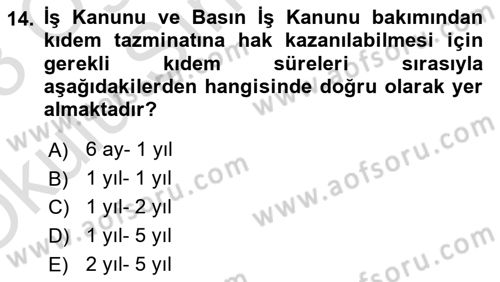 Temel İş Hukuku Dersi 2022 - 2023 Yılı Yaz Okulu Sınavı 14. Soru