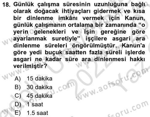 Temel İş Hukuku Dersi 2022 - 2023 Yılı Yaz Okulu Sınav Soruları 18. Soru