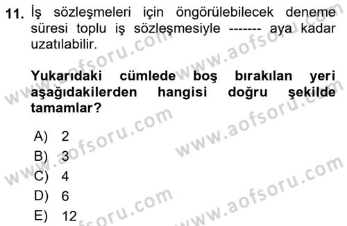 Temel İş Hukuku Dersi 2023 - 2024 Yılı (Vize) Ara Sınav Soruları 11. Soru