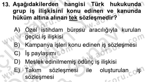 Temel İş Hukuku Dersi 2023 - 2024 Yılı (Vize) Ara Sınav Soruları 13. Soru