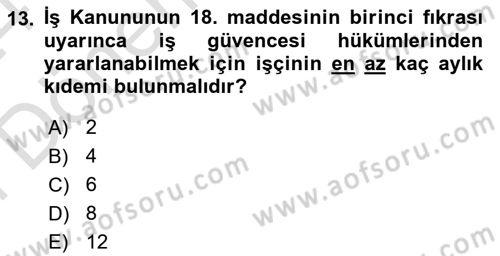Temel İş Hukuku Dersi 2023 - 2024 Yılı (Final) Dönem Sonu Sınav Soruları 13. Soru