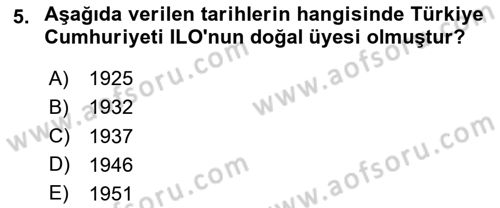 Temel İş Hukuku Dersi 2023 - 2024 Yılı (Final) Dönem Sonu Sınav Soruları 5. Soru
