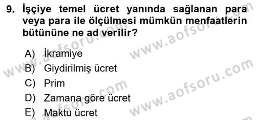Temel İş Hukuku Dersi 2023 - 2024 Yılı (Final) Dönem Sonu Sınav Soruları 9. Soru