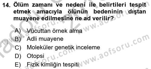 Ceza Muhakemesi Hukuku Dersi 2016 - 2017 Yılı (Vize) Ara Sınav Soruları 14. Soru