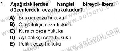 Ceza Hukuku Dersi 2012 - 2013 Yılı (Final) Dönem Sonu Sınav Soruları 1. Soru