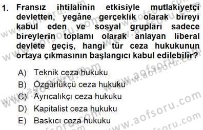Ceza Hukuku Dersi 2015 - 2016 Yılı (Vize) Ara Sınav Soruları 1. Soru