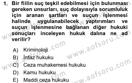 Ceza Hukuku Dersi 2016 - 2017 Yılı (Vize) Ara Sınav Soruları 1. Soru